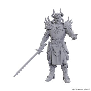 WIZKIDS WK 96371 D&D Nolzur's Marvelous Miniatures: Special Edition Baldur's Gate 3: Sarevok Anchev & Raphael