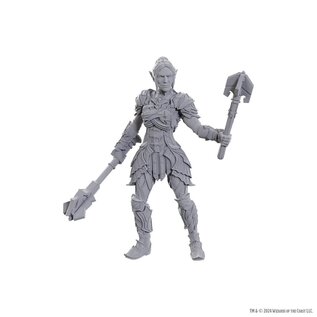 WIZKIDS WK 96369 D&D Nolzur's Marvelous Miniatures: Special Edition Baldur's Gate 3: Dame Aylin & Minthara