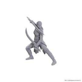 WIZKIDS WK 96368 D&D Nolzur's Marvelous Miniatures: Special Edition Baldur's Gate 3: Jaheira & Halsin