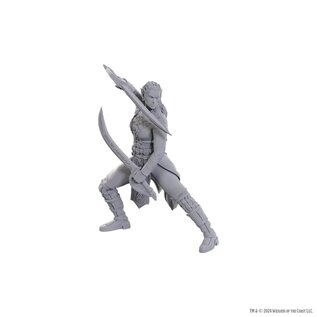 WIZKIDS WK 96368 D&D Nolzur's Marvelous Miniatures: Special Edition Baldur's Gate 3: Jaheira & Halsin