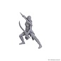 WIZKIDS WK 96368 D&D Nolzur's Marvelous Miniatures: Special Edition Baldur's Gate 3: Jaheira & Halsin