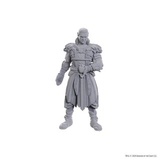 WIZKIDS WK 96368 D&D Nolzur's Marvelous Miniatures: Special Edition Baldur's Gate 3: Jaheira & Halsin
