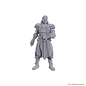 WIZKIDS WK 96368 D&D Nolzur's Marvelous Miniatures: Special Edition Baldur's Gate 3: Jaheira & Halsin