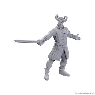 WIZKIDS WK 96367 D&D Nolzur's Marvelous Miniatures: Special Edition Baldur's Gate 3: Wyll & Karlach