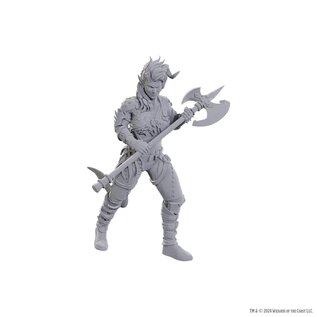 WIZKIDS WK 96367 D&D Nolzur's Marvelous Miniatures: Special Edition Baldur's Gate 3: Wyll & Karlach