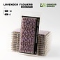GAMERS GRASS GSG GGFS-LAV Gamers Grass Lavender Flowers