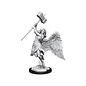 WIZKIDS WK 90330 Pathfinder Deep Cuts Unpainted Miniatures: Wave 15: Balisse & Astral Deva