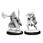 WIZKIDS WK 90320 WINTER ELADRIN & SPRING ELADRIN WAVE 15