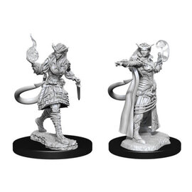 WIZKIDS WK 90304 D&D Nolzur's Marvelous Unpainted Miniatures: Wave 15: Tiefling Sorcerer Female
