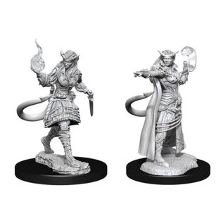 WIZKIDS WK 90304 D&D Nolzur's Marvelous Unpainted Miniatures: Wave 15: Tiefling Sorcerer Female