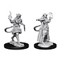 WIZKIDS WK 90304 D&D Nolzur's Marvelous Unpainted Miniatures: Wave 15: Tiefling Sorcerer Female