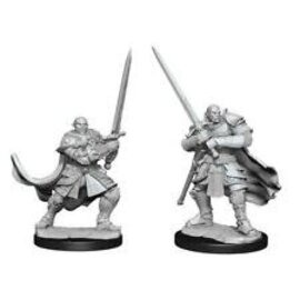 WIZKIDS WK 90307 HALF-ORC PALADIN WAVE 15