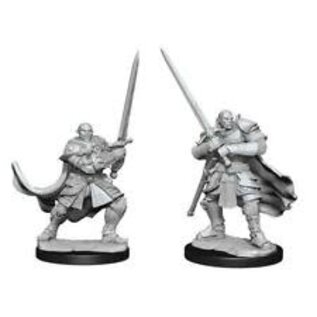 WIZKIDS WK 90307 HALF-ORC PALADIN WAVE 15