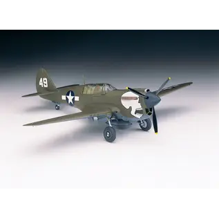HASEGAWA HAS 00139 P-40n Warhawk plastic model kit