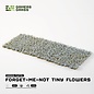 GAMERS GRASS GSG GGFS-FMN Gamers Grass Forget-me-not Tiny Flowers