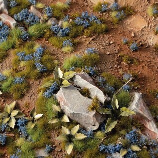 GAMERS GRASS GSG GGFS-COR Gamers Grass Cornflower Tiny Flowers