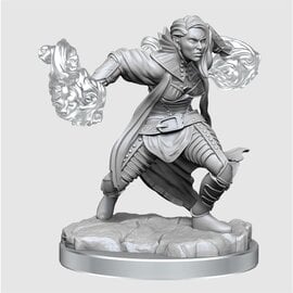 WIZKIDS WK 90410 D&D Nolzur's Marvelous Unpainted Miniatures: Wave 20: Half-Elf Warlock