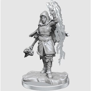 WIZKIDS WK 90410 D&D Nolzur's Marvelous Unpainted Miniatures: Wave 20: Half-Elf Warlock