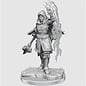 WIZKIDS WK 90410 D&D Nolzur's Marvelous Unpainted Miniatures: Wave 20: Half-Elf Warlock