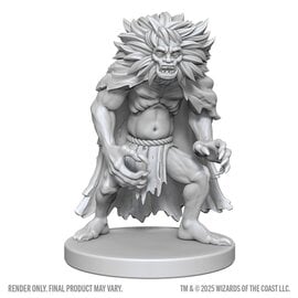 WIZKIDS WK 90814 D&D Nolzur's Marvelous Unpainted Miniatures: Wave 28: Classic Wight & Classic Wraith