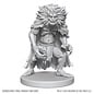 WIZKIDS WK 90814 D&D Nolzur's Marvelous Unpainted Miniatures: Wave 28: Classic Wight & Classic Wraith