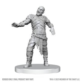 WIZKIDS WK 90855 D&D Nolzur's Marvelous Unpainted Miniatures: Wave 28: Swarm of Rot Grubs & Rot Grub Victim