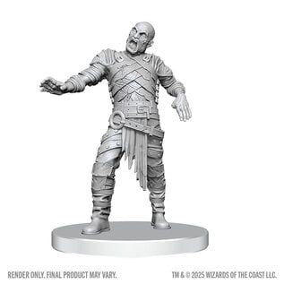 WIZKIDS WK 90855 D&D Nolzur's Marvelous Unpainted Miniatures: Wave 28: Swarm of Rot Grubs & Rot Grub Victim