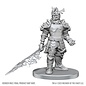 WIZKIDS WK 90857 D&D Nolzur's Marvelous Unpainted Miniatures: Wave 28: Hell Hound & Narzugon