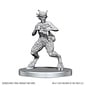 WIZKIDS WK 90859 D&D Nolzur's Marvelous Unpainted Miniatures: Wave 28: Satyr & Dryad
