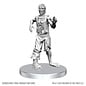 WIZKIDS WK 90813 D&D Nolzur's Marvelous Unpainted Miniatures: Wave 28: Classic Vampire & Classic Zombie