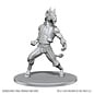 WIZKIDS WK 90861 D&D Nolzur's Marvelous Unpainted Miniatures: Wave 28: Equinal Guardinal