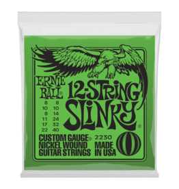 Ernie Ball Ernie Ball 2230 Regular Slinky 12-String Nickel Wound Electric Guitar Strings - .008-.040