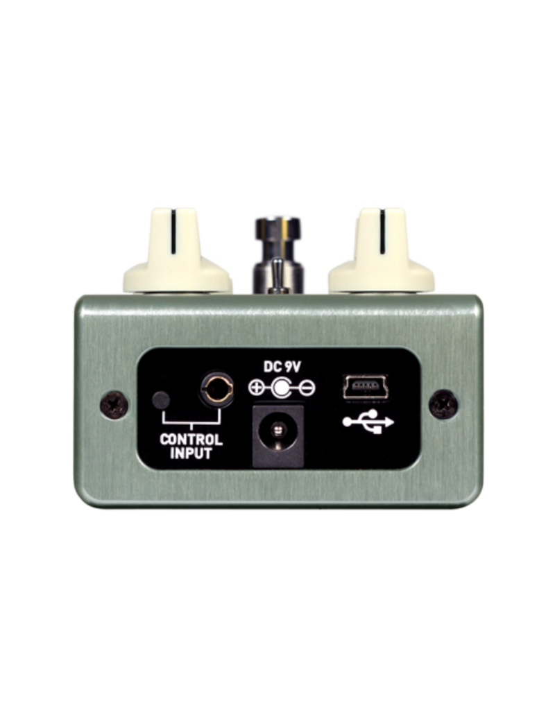 Source Audio Source Audio True Spring Reverb