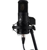 Warm Audio WA-8000, Large Diaphragm Tube Condenser Microphone
