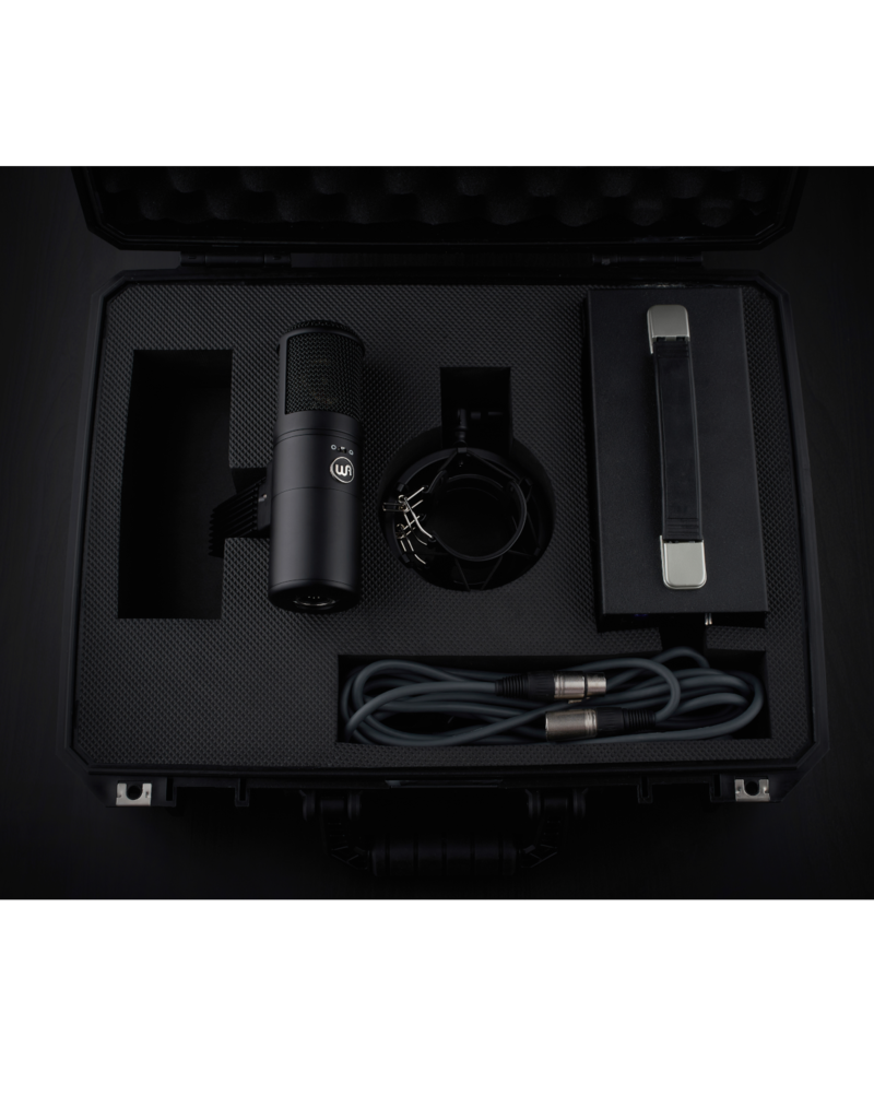 Warm Audio WA-8000, Large Diaphragm Tube Condenser Microphone