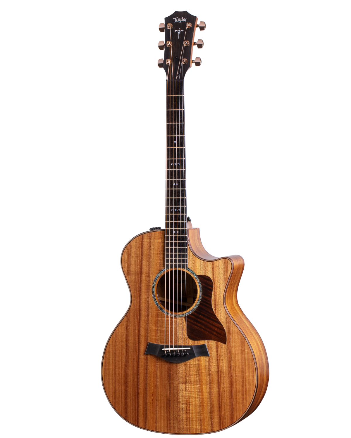 Taylor Guitars 724ce Acoustic Tone Tailors