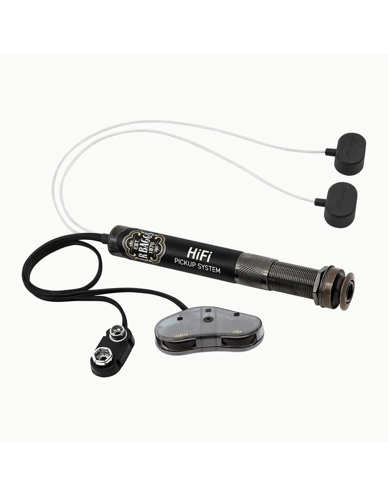 LR Baggs L R Baggs HiFi System with volume and tone control