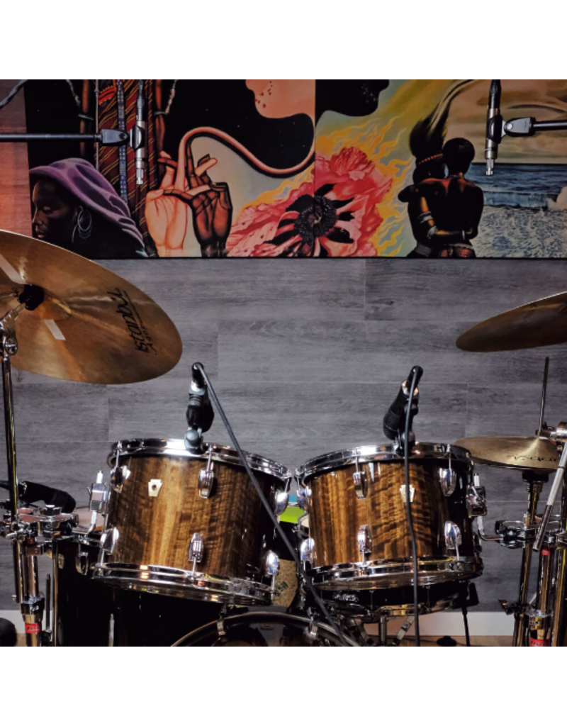 Earthworks Earthworks Audio DK6 6-piece drum mic kit