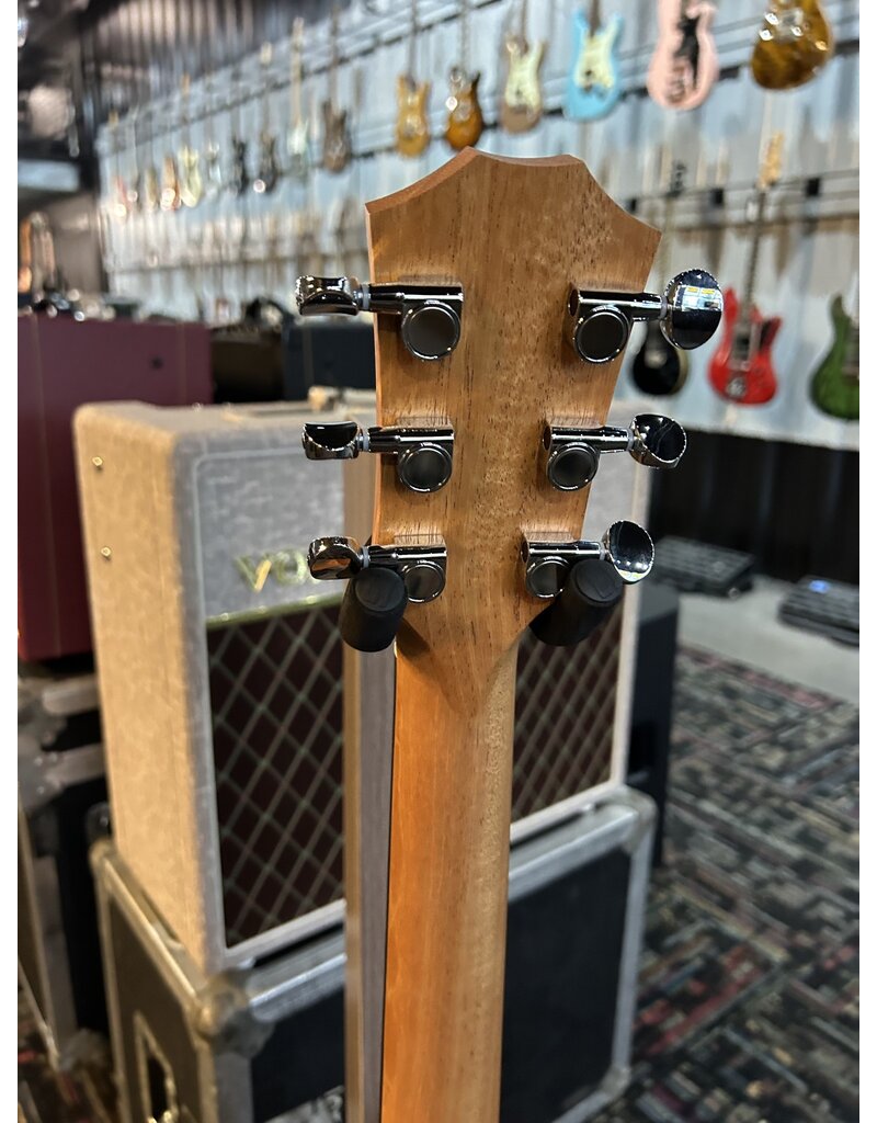 Taylor Taylor GS Mini-e Special Edition Victorian Burst