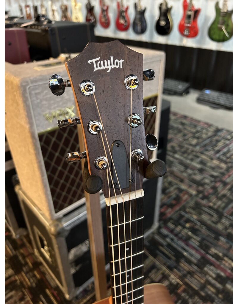 Taylor Taylor GS Mini-e Special Edition Victorian Burst