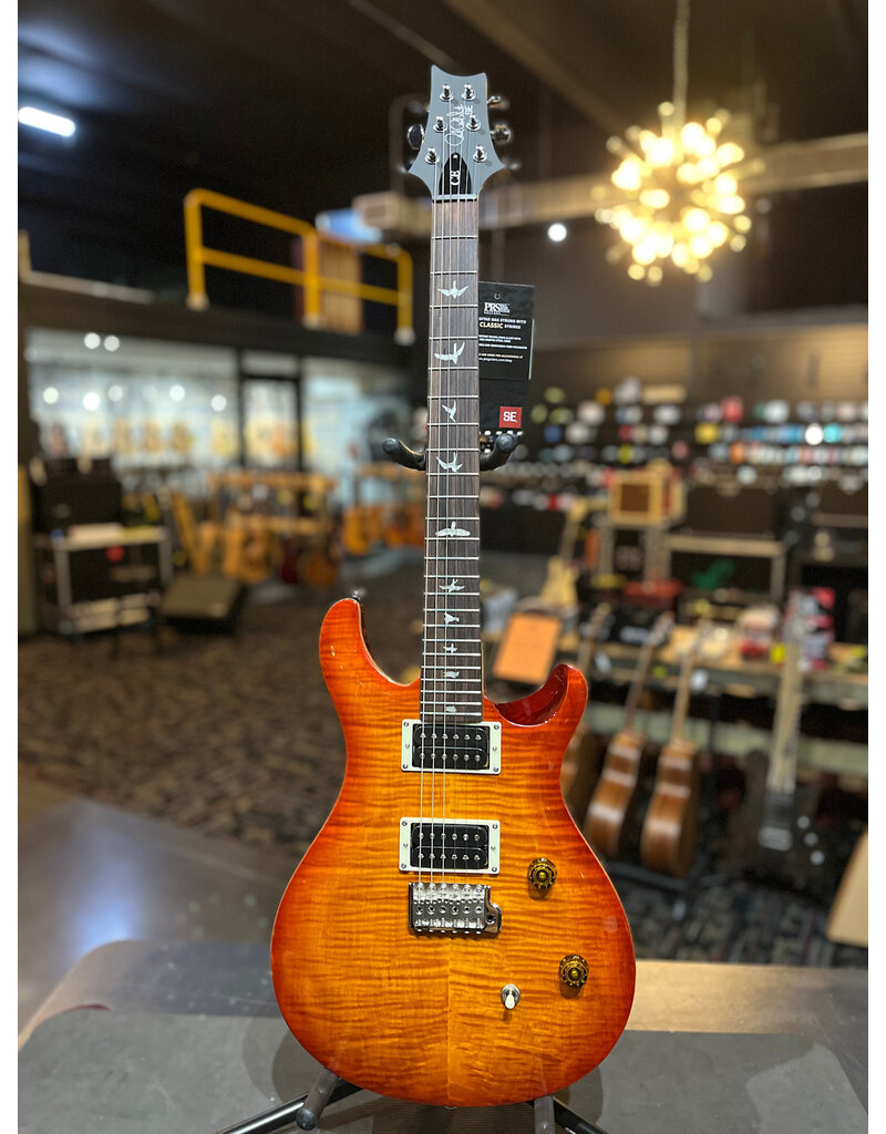 ギター Paul Reed Smith PRS CE24 10top PRS CE 24 Willcutt Exclusive Tortoise Shell (156) - Willcutt