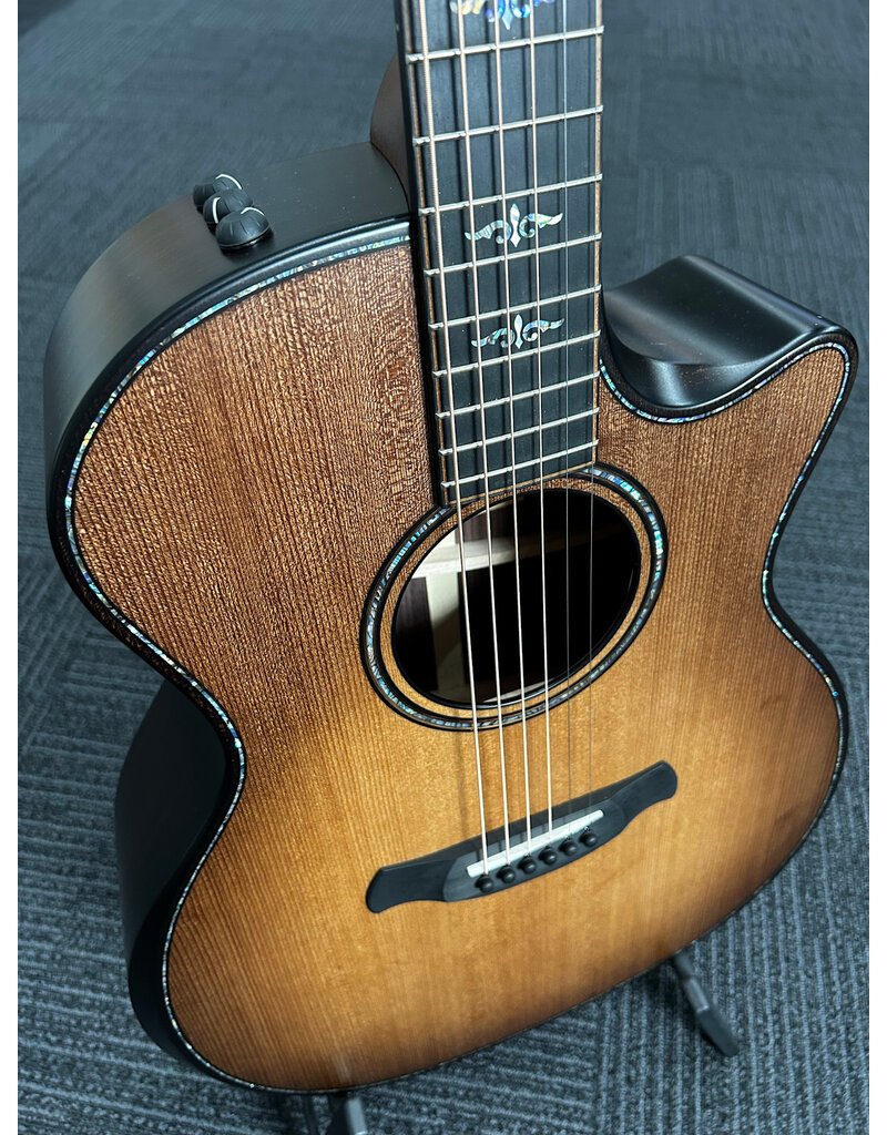 Taylor Taylor Builder's Edition 914ce WHB