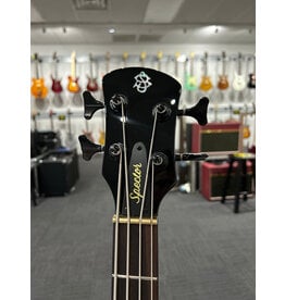 Spector NS Ethos 4 - Interstellar Gloss