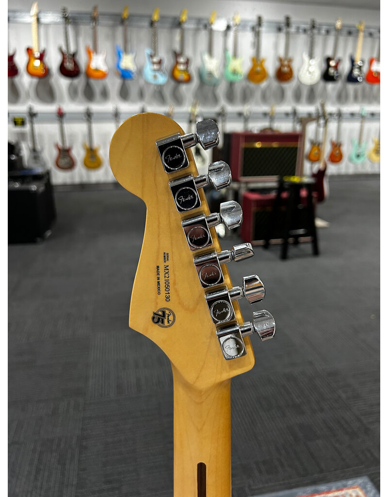 Fender Used Fender player Series HSS Stratocaster