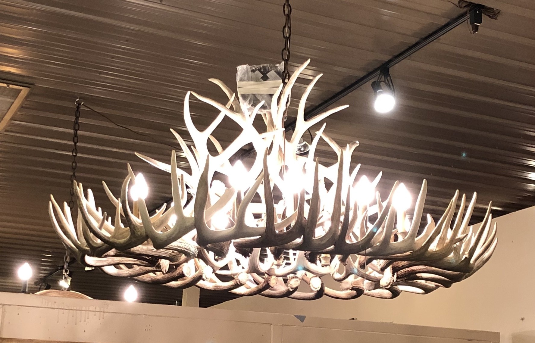 Fish Light Fixture Mescar Innovations2019 Org