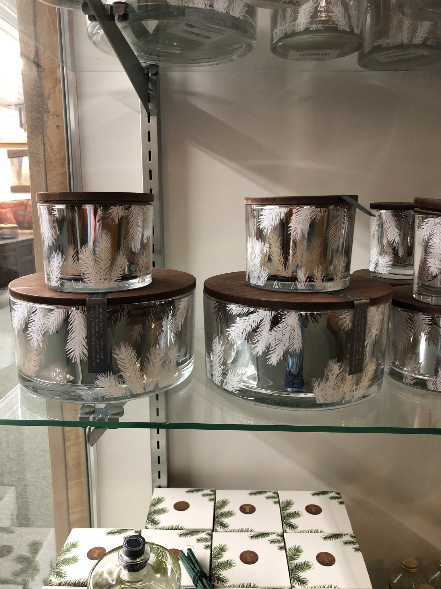 Frasier Fir FF Statement Poured Candle Lg 4-wick