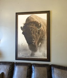 TAC American Buffalo  48x68