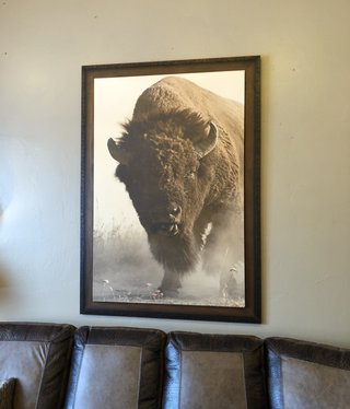 TAC American Buffalo  48x68