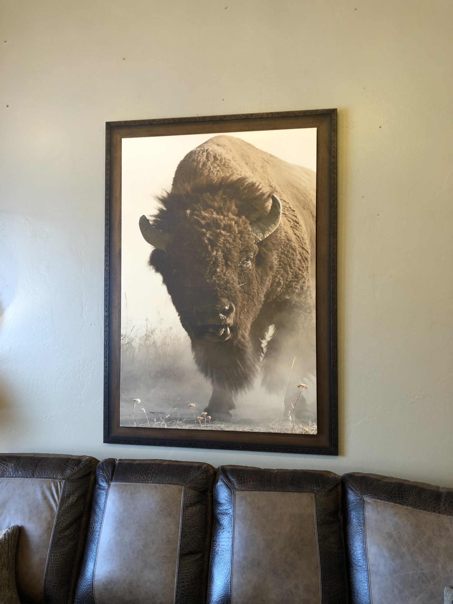 TAC American Buffalo  48x68