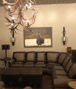 TAC Moose Male Rising 66x46